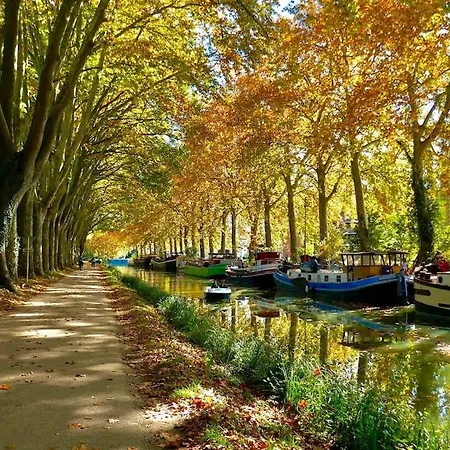 Le Sully Nest - Clim Et Parking *