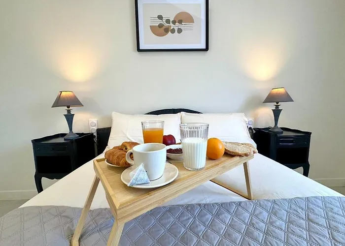 Le Sully Nest - Clim Et Parking